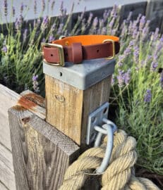 A brown and orange dog collar with gold buckles is looped around a wooden post with a metal cap. A thick rope is tied to a metal hook below, and purple flowers grow in the background.