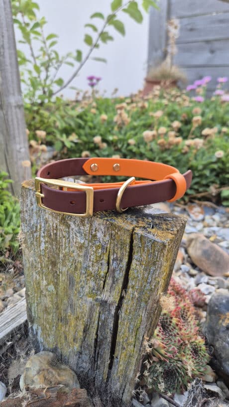 Amberwood Collar