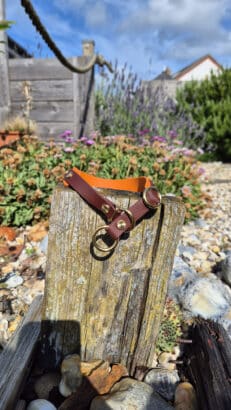 Amberwood Half Slip Collar in chestnut brown and ember orange, displayed on weathered wood in a sunlit garden.