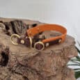 An orange and brown leather dog collar with gold metal rings and rivets rests on a textured piece of wood, with a green plant partially visible in the corner.
