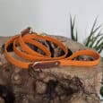 An orange dog lead with brown leather accents and a gold clasp, coiled and displayed on a textured wooden surface with green plant leaves in the background.