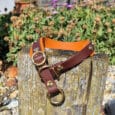 A brown and orange dog collar with gold fittings resting on a weathered wooden post, surrounded by stones and blooming flowers in a garden.