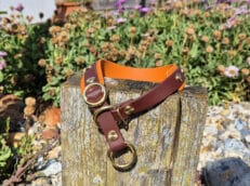 A brown and orange dog collar with gold fittings resting on a weathered wooden post, surrounded by stones and blooming flowers in a garden.