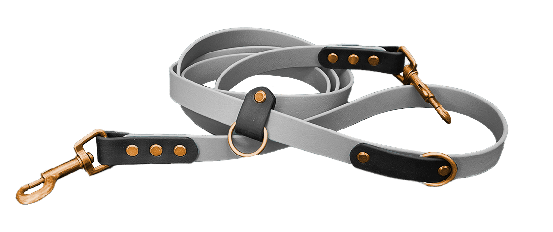 A grey dog lead with black leather accents, brass rivets, and a brass clasp, coiled neatly on a white background.