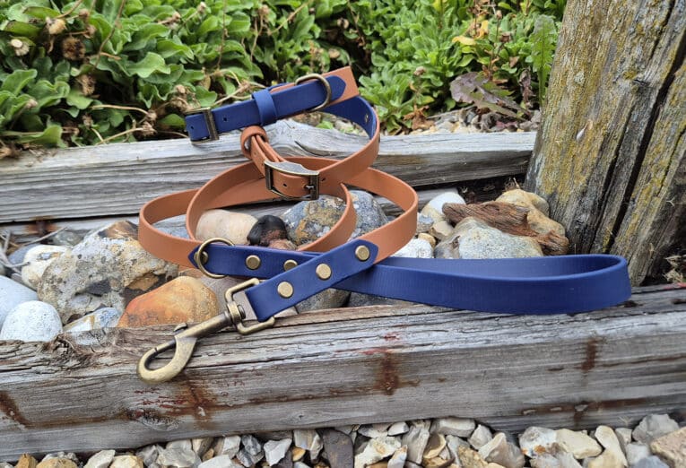 Two leather dog collars, one tan and one blue, and a matching blue lead with a brass clip are coiled on weathered wooden planks surrounded by rocks and greenery.