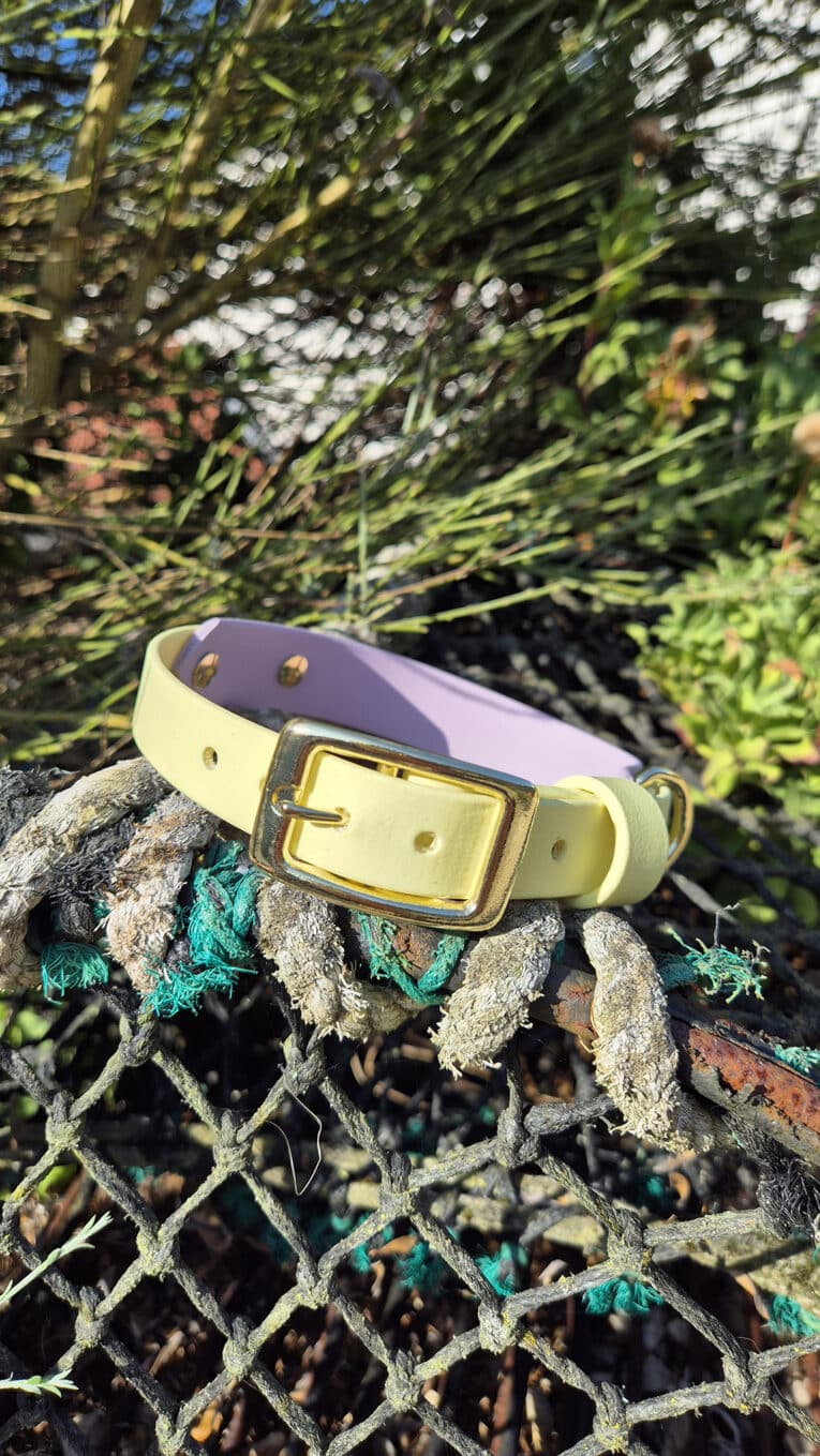 A yellow dog collar with a gold buckle rests on a net covered with ropes, with green plants and sunlight in the background.