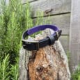A black and purple dog collar with brass fittings is displayed on a weathered tree stump, surrounded by green foliage and a wooden fence in the background.
