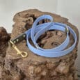 A light blue dog lead with gold fittings and an olive green handle is coiled on a rough, textured piece of natural wood.