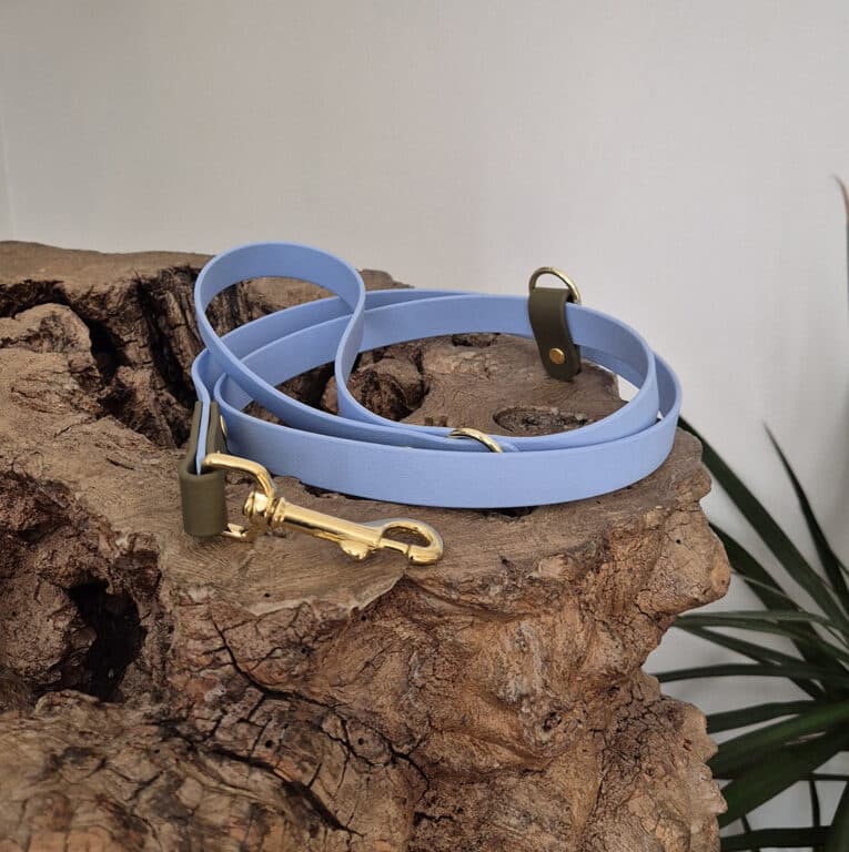 A light blue dog lead with gold fittings is coiled on a textured piece of wood. A green plant is visible in the bottom right corner against a plain white background.