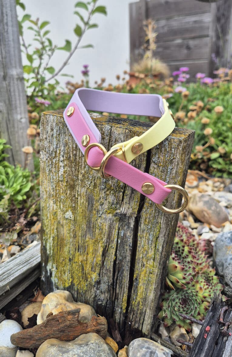A pastel pink and yellow dog collar with gold fittings is draped over a weathered wooden post in a garden setting among rocks, greenery, and flowers.