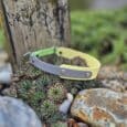 A Custom Half Slip Collar in yellow and grey with metal rivets rests on succulents and rocks beside a weathered wooden post outdoors.