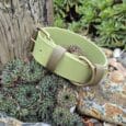 The Custom Extra Wide Single Colour Collar in light green with a brass buckle and ring is displayed on succulent plants among rocks and a weathered wooden post in a garden setting.