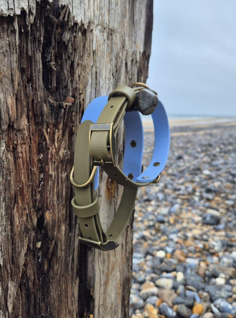 Tan and blue custom two colour BioThane dog collar displayed on weathered wood by a pebbly beach, showing the colour contrast and hardware detail.