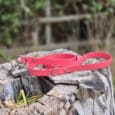 A bright pink dog lead with metal fittings is coiled on top of a weathered tree stump outdoors, with green foliage blurred in the background.