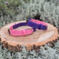 Two vibrant custom two colour collars in pink and purple BioThane displayed on a wooden disc, featuring brass hardware.