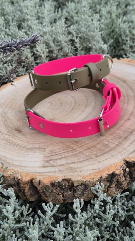 Handmade two-colour BioThane dog collar in hot pink and sage green, displayed on a wooden disc with desert plants.