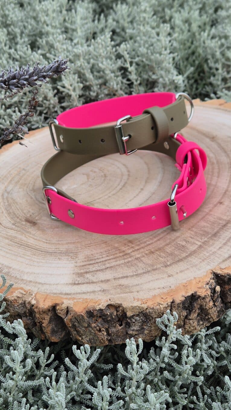 Handmade two-colour BioThane dog collar in hot pink and sage green, displayed on a wooden disc with desert plants.