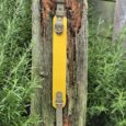 The Saffron Grove Tapered Collar, in yellow and olive green with a buckle, is displayed vertically on a weathered tree stump amidst green foliage.