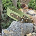 The Custom Half Slip Collar in green and olive leather with gold studs and a ring rests on a large rock, surrounded by succulents and pebbles, creating an elegant garden display.