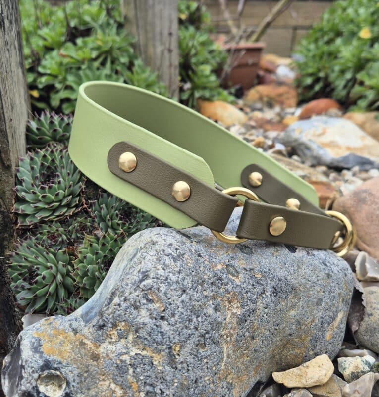 The Custom Half Slip Collar in green and olive leather with gold studs and a ring rests on a large rock, surrounded by succulents and pebbles, creating an elegant garden display.