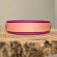 Magenta and sunset bronze hound collar