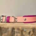 Custom double layer hound collar in coral pink and magenta BioThane with stainless steel hardware, displayed on natural wood.
