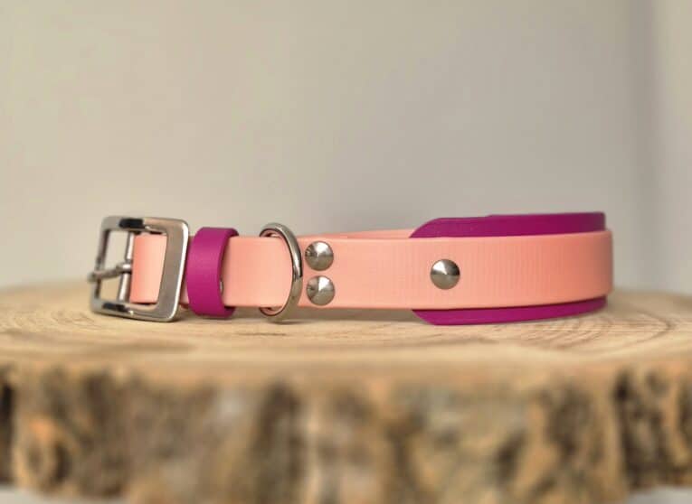 Custom double layer hound collar in coral pink and magenta BioThane with stainless steel hardware, displayed on natural wood.