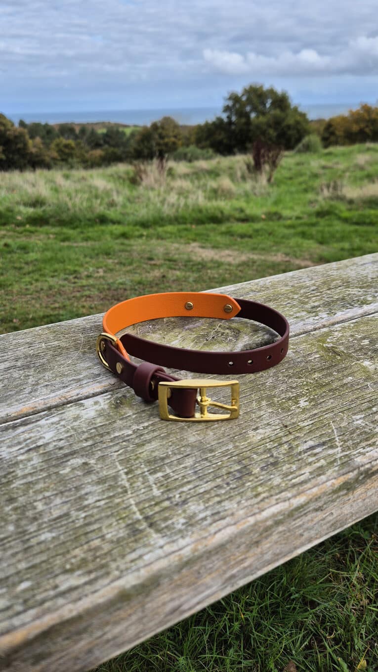 A brown and orange leather dog collar with a gold buckle lies on a weathered wooden bench in a grassy outdoor park, with trees and a cloudy sky in the background.