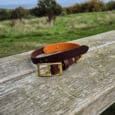 A brown and orange dog collar with a gold buckle is placed on a weathered wooden bench outdoors, with green grass, trees, and a cloudy sky in the background.