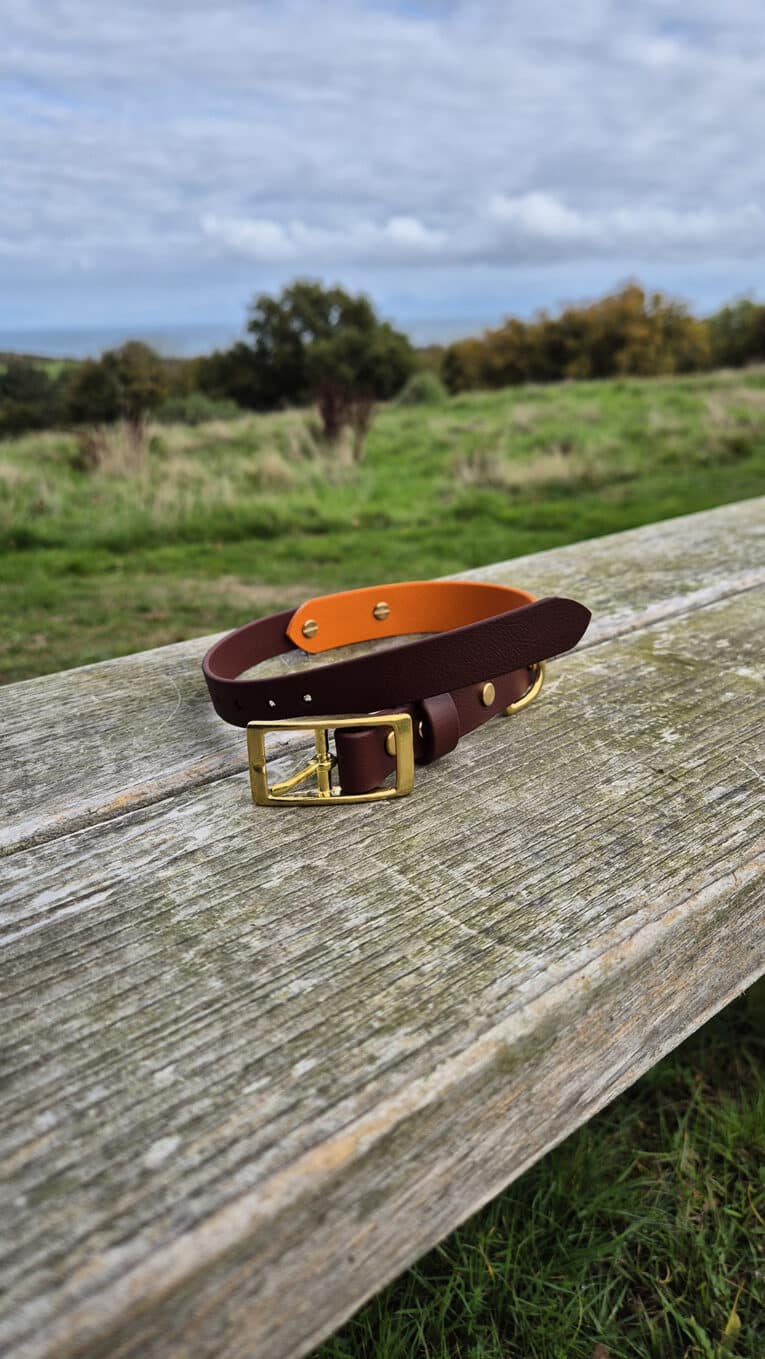 A brown and orange dog collar with a gold buckle is placed on a weathered wooden bench outdoors, with green grass, trees, and a cloudy sky in the background.