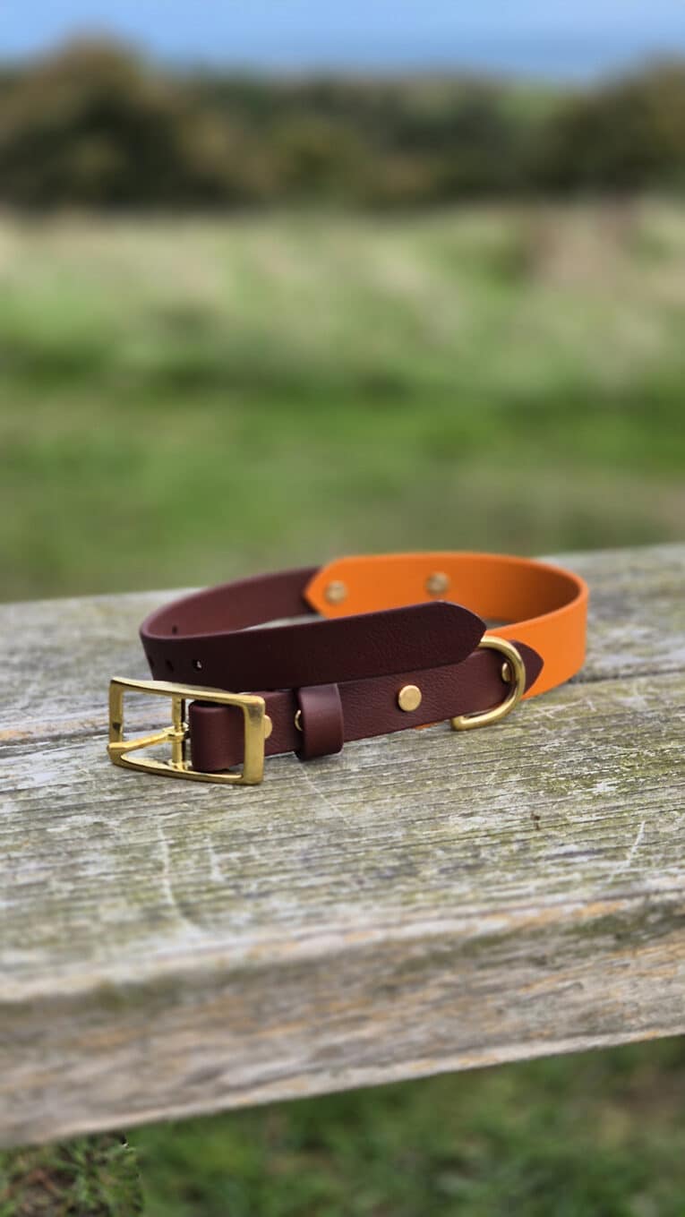 A brown and orange leather dog collar with a gold buckle and ring rests on a weathered wooden surface outdoors, with grass and trees blurred in the background.