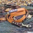 A brown and orange leather dog lead with metal rivets and clasp rests on a weathered wooden log outdoors, surrounded by scattered autumn leaves.