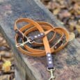 An orange leather dog lead with brass fittings is coiled on a weathered wooden bench. Fallen brown leaves cover the ground in the background.