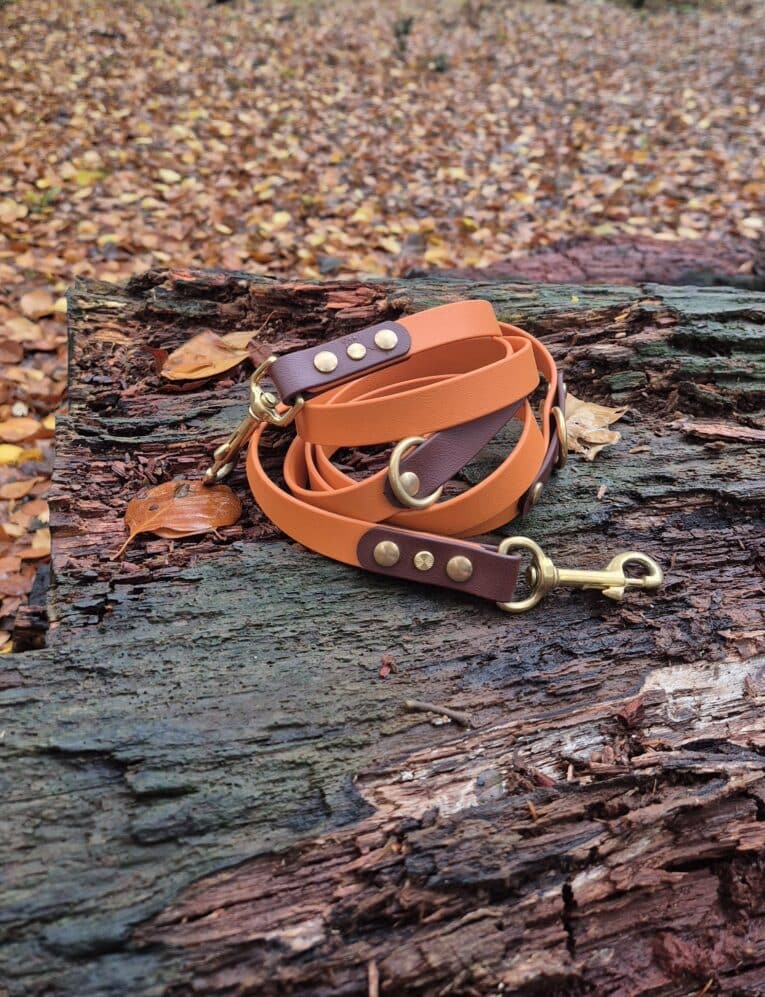 A coiled dog lead with brass fittings rests on a weathered tree stump covered in autumn leaves. The background is filled with fallen leaves covering the ground.