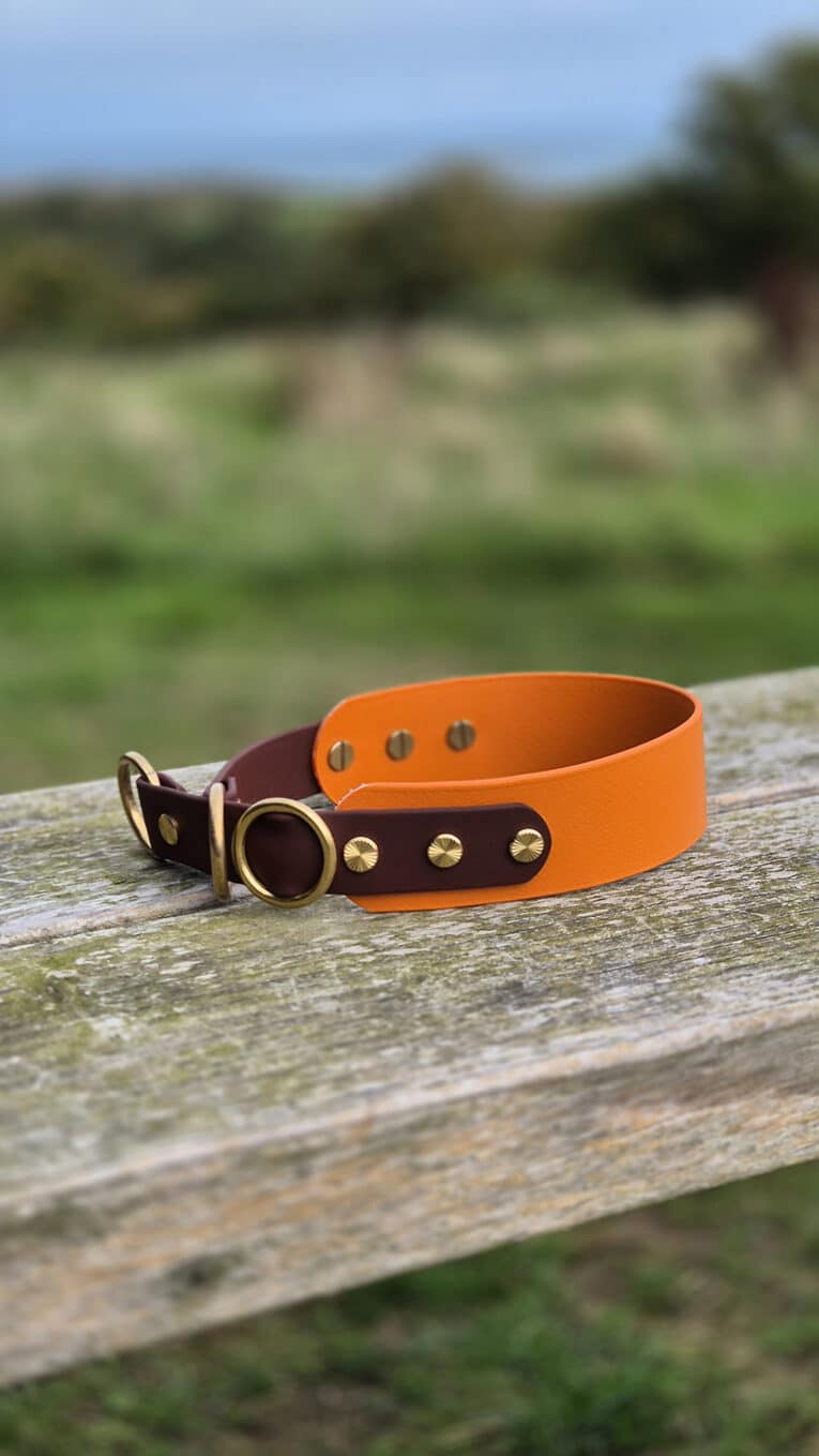 A handmade dog collar with an orange and brown leather strap, gold rivets, and metal rings, resting on a weathered wooden fence with a blurred grassy field in the background.