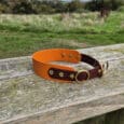 A brown and orange leather dog collar with brass fittings is resting on a weathered wooden bench outdoors, with grassy fields and trees in the background under a partly cloudy sky.