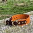A wide orange and brown leather collar with gold metal fittings rests on a weathered wooden fence outdoors, with grassy fields and trees in the background.