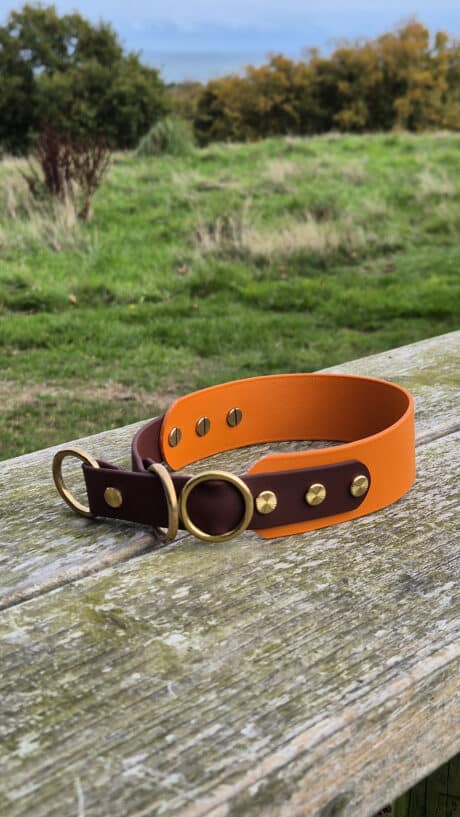 A wide orange and brown leather collar with gold metal fittings rests on a weathered wooden fence outdoors, with grassy fields and trees in the background.
