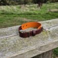 A brown and orange dog collar rests on a weathered wooden bench outdoors, with a grassy field and trees in the background under a partly cloudy sky.