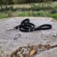 A black leather dog lead with a metal clip rests on a weathered tree stump outdoors, with grassy fields and trees visible in the background under a cloudy sky.