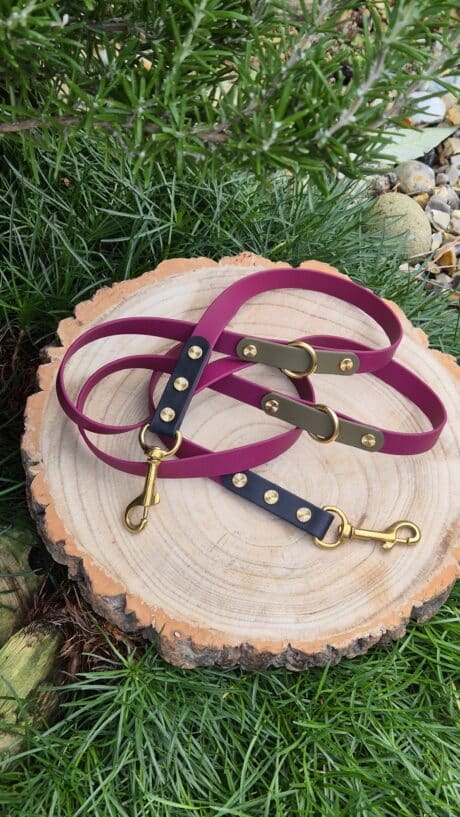 A purple and black dog lead with gold fittings is coiled on a tree stump, surrounded by grass, rocks, and green foliage.