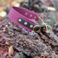 A purple leather collar with brass studs and a metal ring rests on a textured, weathered tree trunk outdoors with fallen leaves nearby.