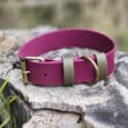 The Bordeaux Grove Extra Wide Collar in magenta, featuring an olive green buckle and D-ring, is displayed on a rough tree stump outdoors with blurred greenery in the background.