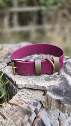 Bordeaux Grove Extra Wide Collar