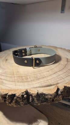 A two-tone leather dog collar with brass fittings rests on a thick, round wooden slab with visible tree rings. The background is neutral with a faintly visible shelf above.