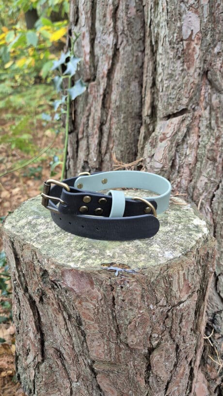 Deep Forest Two Colour Collar