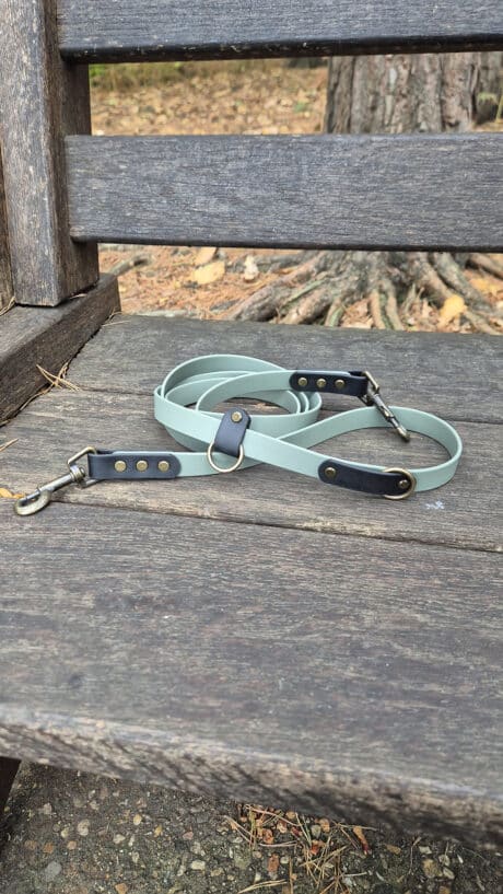 A light green dog lead with black and brass fittings is coiled on a weathered wooden bench outdoors, with tree roots and fallen leaves visible in the background.