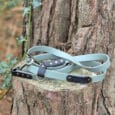 A light blue dog lead with black and gold metal accents is coiled and resting on the rough bark of a tree trunk outdoors, with green ivy leaves in the background.