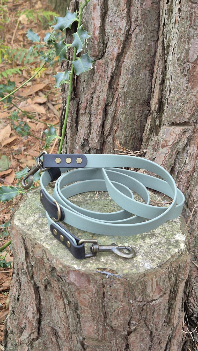 A light blue Custom Two Colour Multi-way Lead with black leather accents and brass fittings is coiled on a tree stump outdoors, surrounded by tree bark and green leaves.