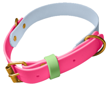 Bright pink handmade BioThane dog collar with customisable green band and gold hardware details.